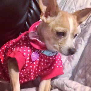 Meet your Posher, Kristan